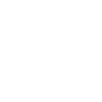 page-1-1 icon1
